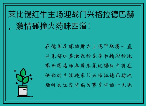 莱比锡红牛主场迎战门兴格拉德巴赫，激情碰撞火药味四溢！